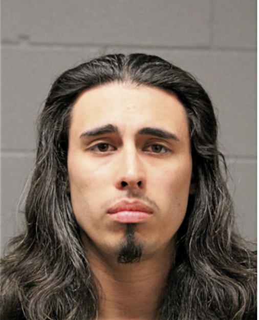 SALVADOR J CHAVEZ, Cook County, Illinois