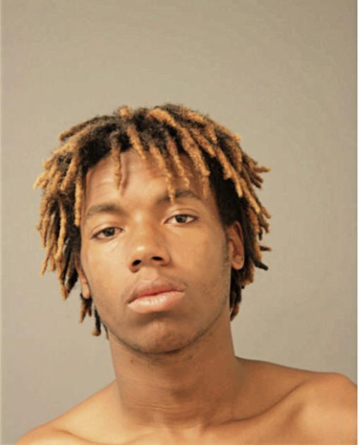 ELMON A DARLING, Cook County, Illinois