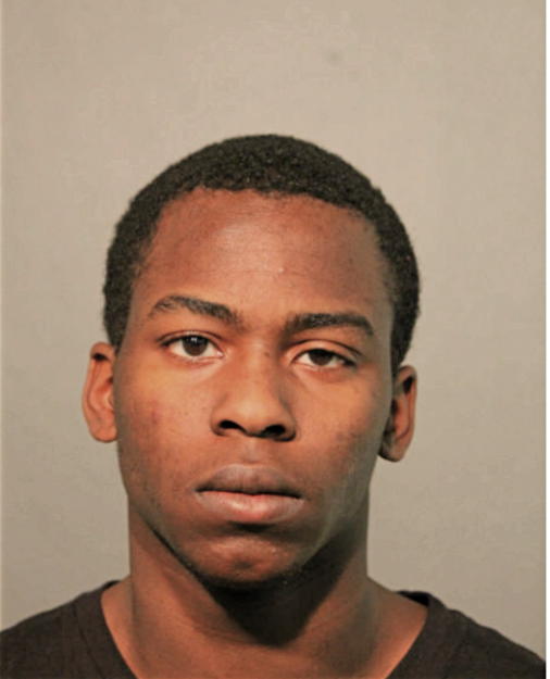 CHRISTOPHER R ELLIS, Cook County, Illinois