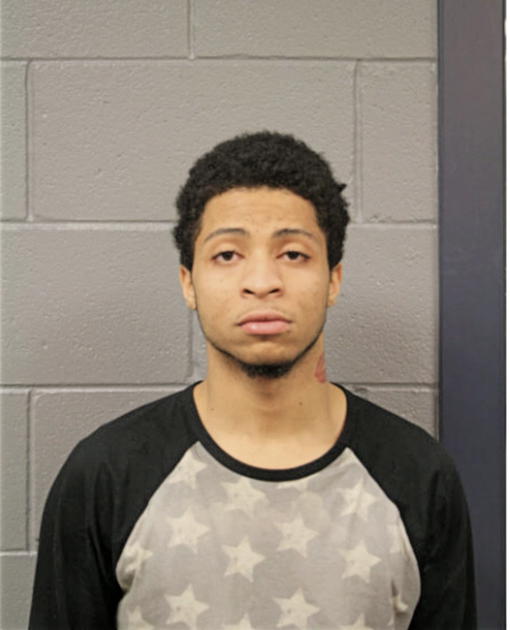 TRINIS M GARRETT, Cook County, Illinois