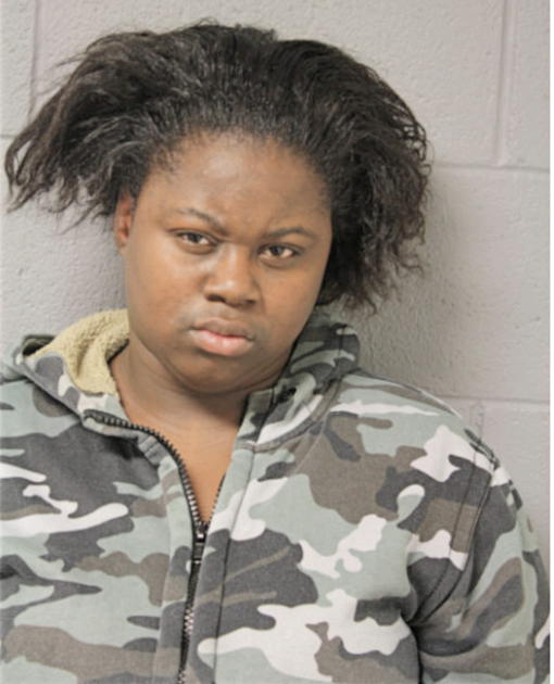 TANEKA L HAYDEN, Cook County, Illinois