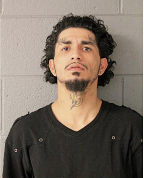 MICHAEL LOZADA, Cook County, Illinois