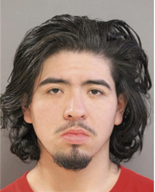 LUIS M LABASTIDA, Cook County, Illinois