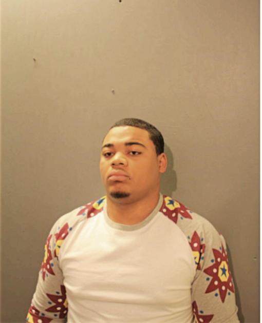 MICHAEL E MARTIN, Cook County, Illinois