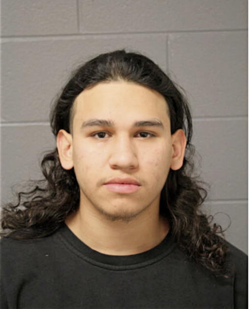ALEXIS MEZA, Cook County, Illinois