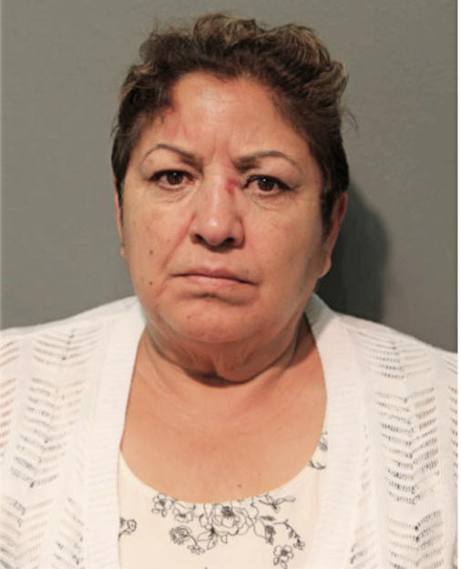 MARIA G NUNEZ, Cook County, Illinois
