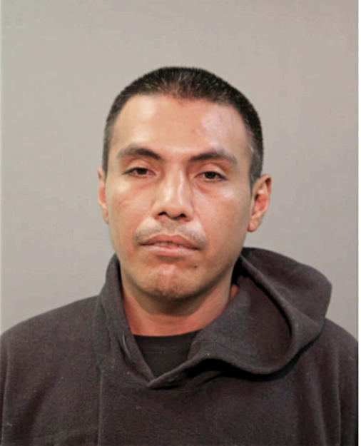 ADRIAN REYES, Cook County, Illinois