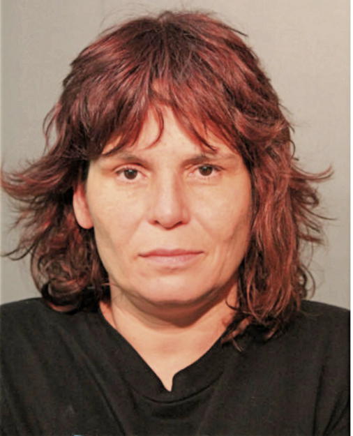 NICHOLE L ROUSSEAU, Cook County, Illinois