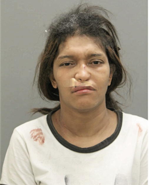 CYNTHIA L SAGO, Cook County, Illinois