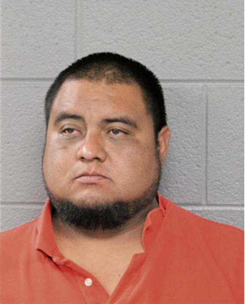 LUIS SALINAS, Cook County, Illinois