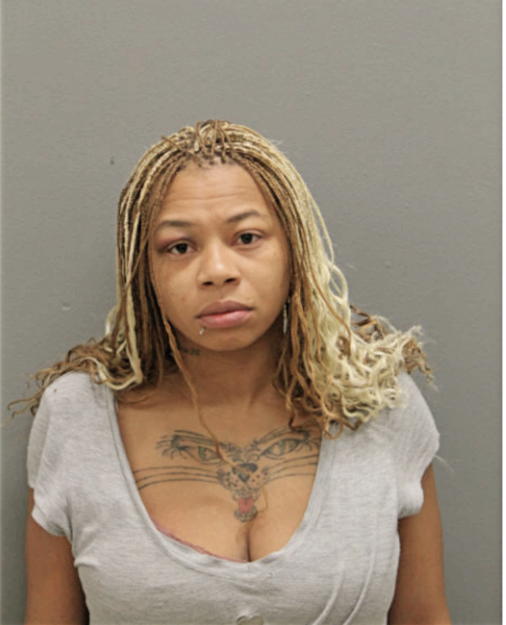 VANESSA C SANDERS, Cook County, Illinois