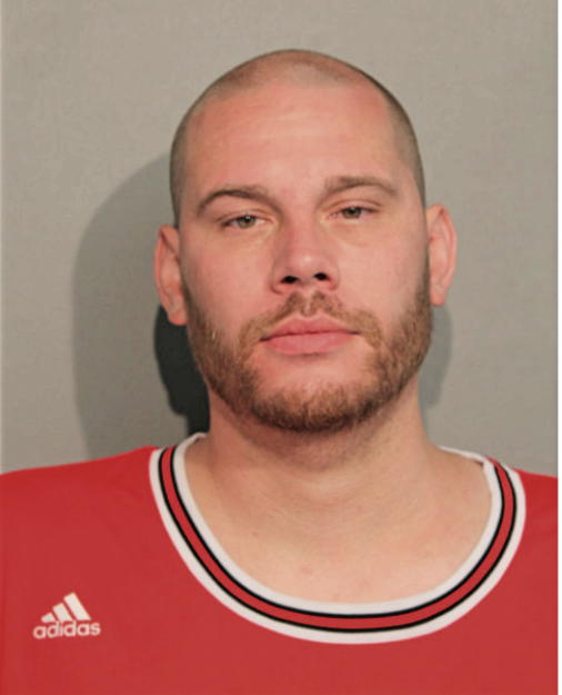 MICHAEL S SCHMIDT, Cook County, Illinois