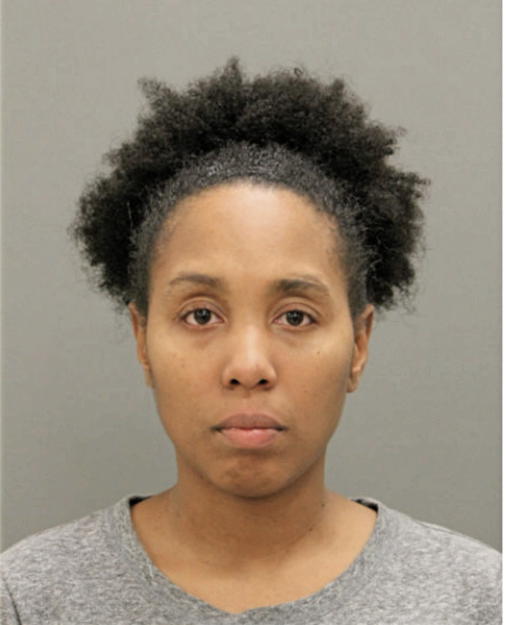 DENISE K STIGER, Cook County, Illinois