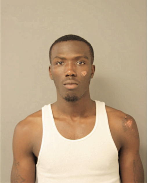 LESLIE K STOKES, Cook County, Illinois