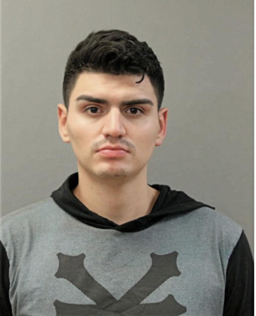 ISAAC TAVIZON, Cook County, Illinois