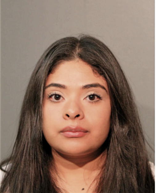 ANGELICA J TORRES, Cook County, Illinois