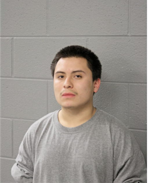 MARIO UGALDE, Cook County, Illinois
