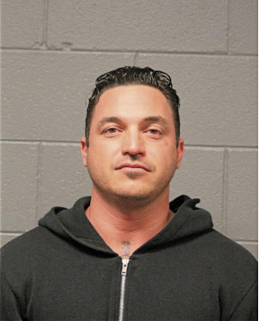 NICHOLAS S WIELANDER, Cook County, Illinois