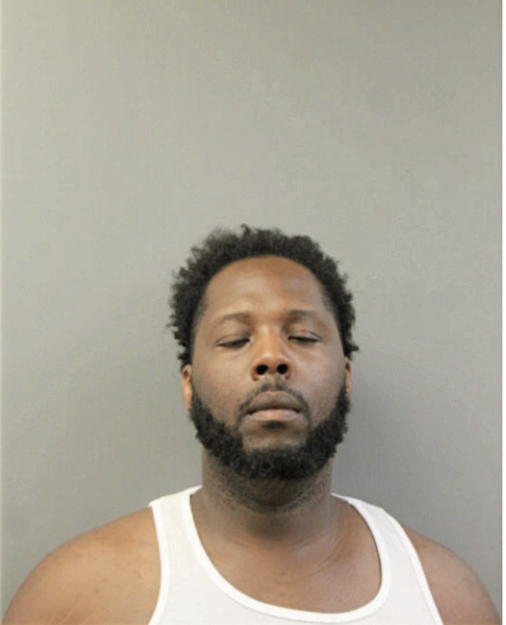 ROBERT L YOUNG, Cook County, Illinois