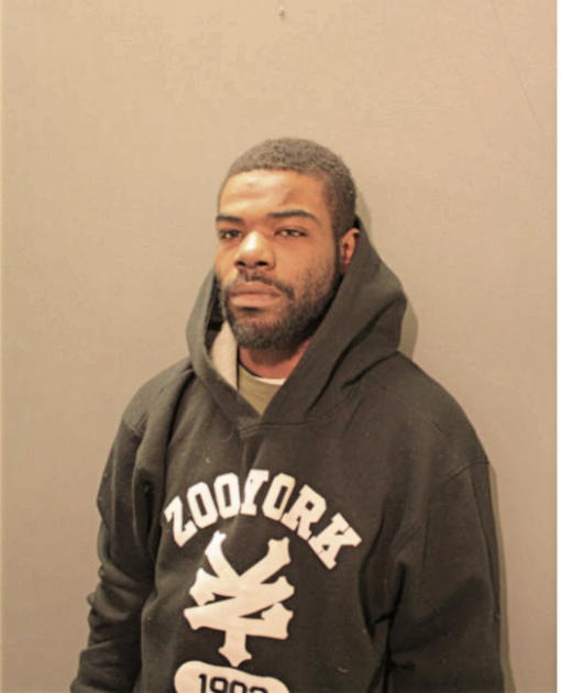 ROBERT J ADAMS, Cook County, Illinois