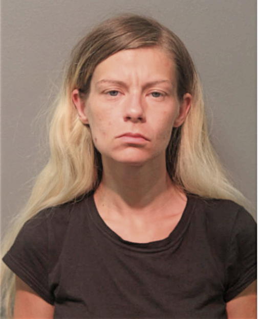 AMBER N ALLEN, Cook County, Illinois