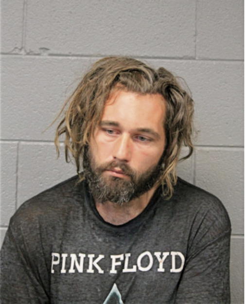 ANDREW P BEERS, Cook County, Illinois