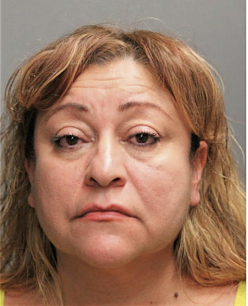 ZORAIDA BORRERO, Cook County, Illinois