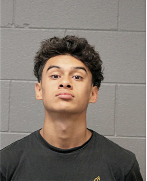 DANIEL A BREAMER, Cook County, Illinois