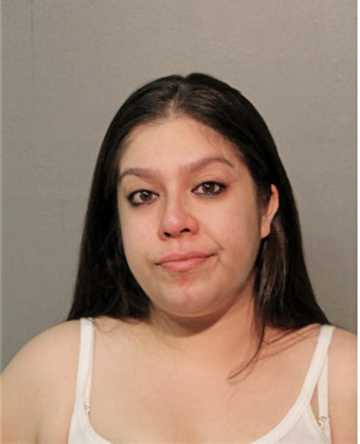 DIANA P CORREA, Cook County, Illinois