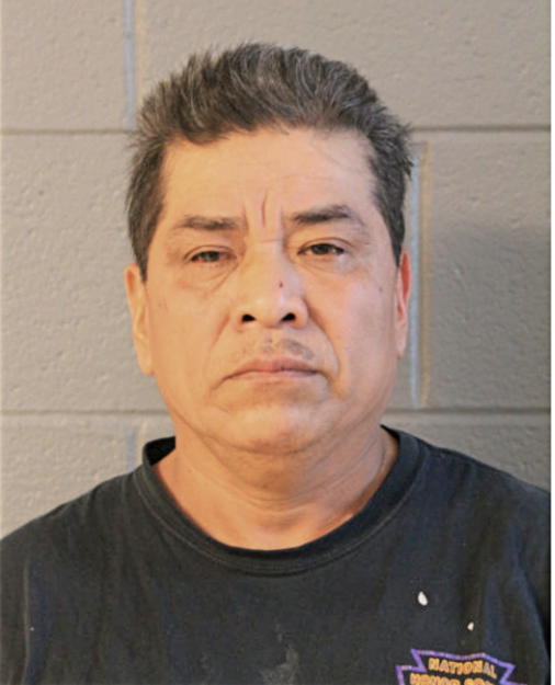 AGUSTIN M DEJESUS, Cook County, Illinois