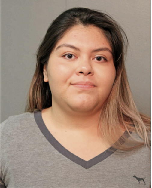 DANIA J DELEON, Cook County, Illinois