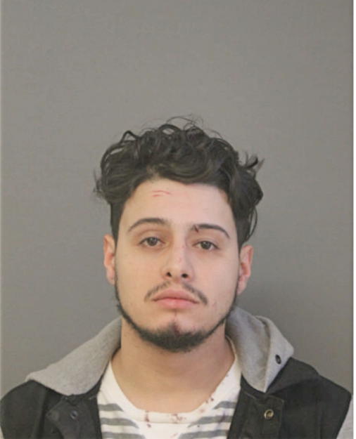 ISAAC ESTRADA, Cook County, Illinois
