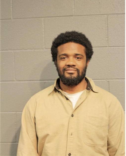STEFON D HUTCHERSON, Cook County, Illinois