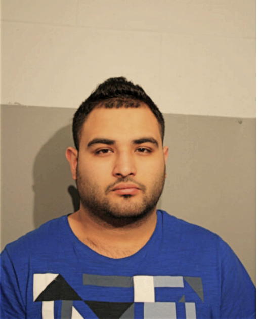 UMAR A MALIK, Cook County, Illinois