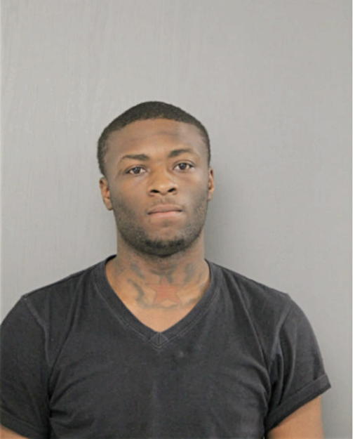 JOHNNY J MANNING JR., Cook County, Illinois