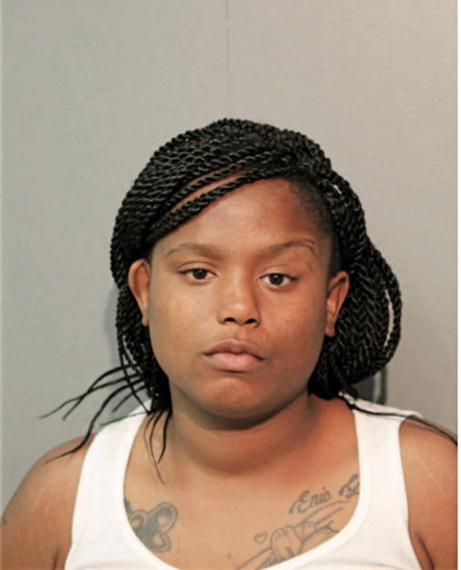 DARNISHA L MARTIN, Cook County, Illinois