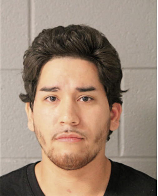 DAVE J MENDEZ, Cook County, Illinois