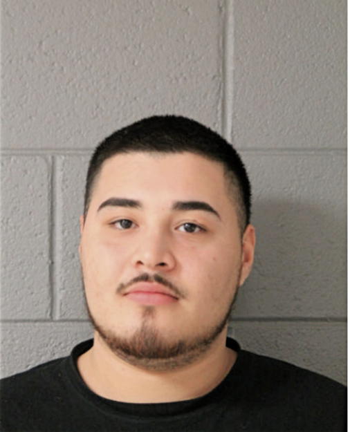 CARLOS MENDOZA, Cook County, Illinois