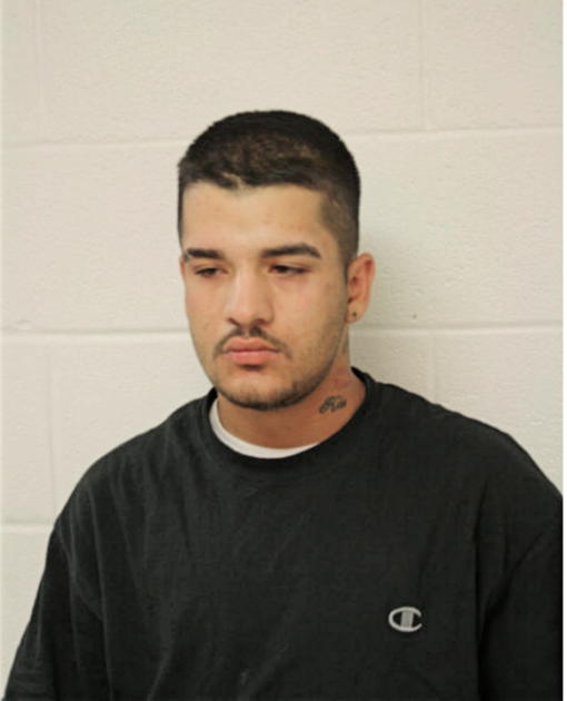 GINO A MILLER, Cook County, Illinois