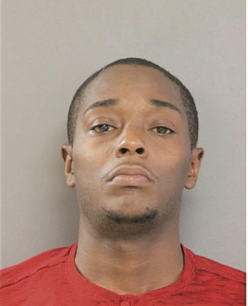 GREG H MORGAN, Cook County, Illinois