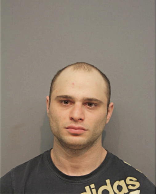 AMJAD I NASSAR, Cook County, Illinois