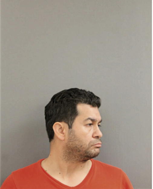 ALFREDO OCHOA, Cook County, Illinois