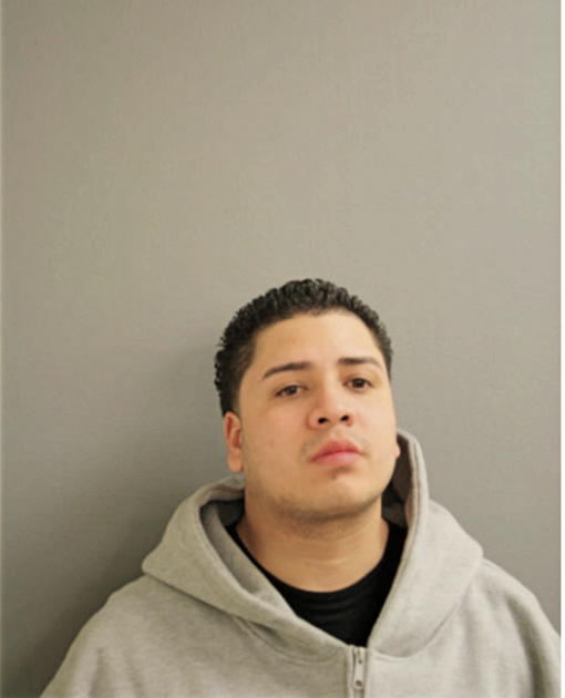 MIGUEL A OSTERLING, Cook County, Illinois