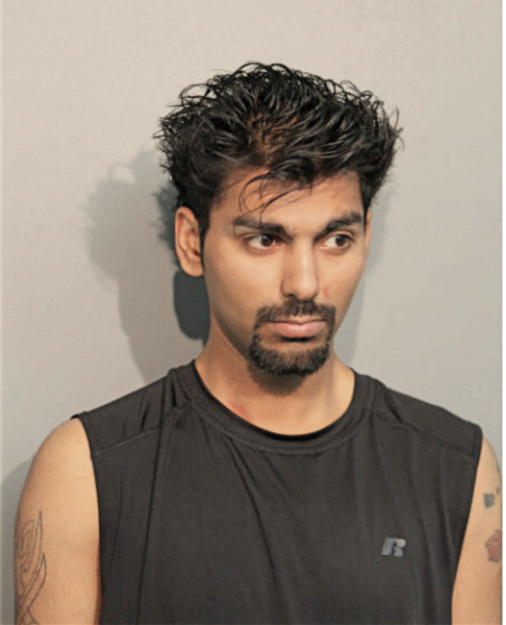 KARIM Q PANCHANT, Cook County, Illinois