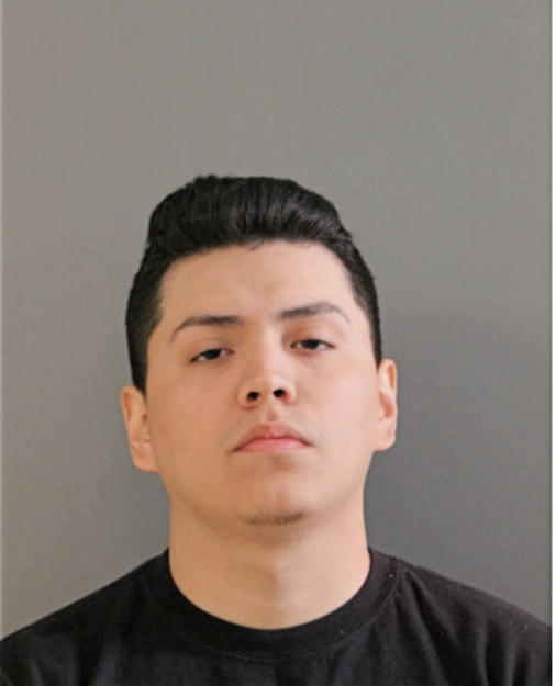 ESTUVIER PEDRO, Cook County, Illinois