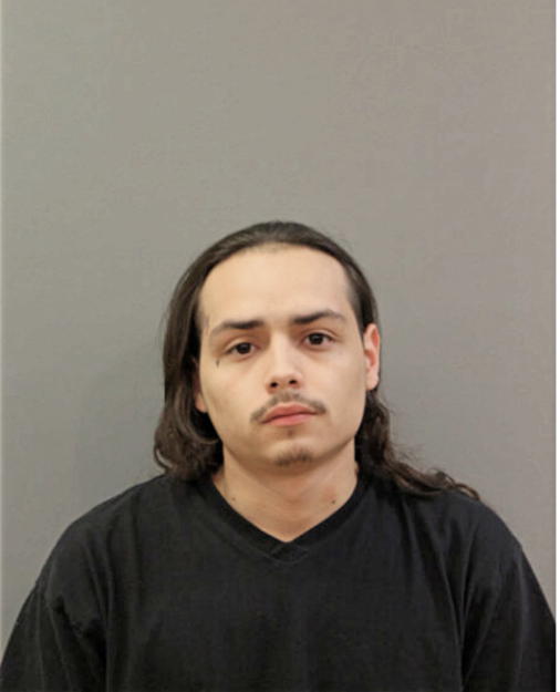 HECTOR R ROJAS, Cook County, Illinois