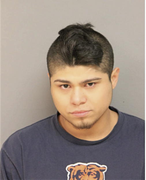MARIO V RUEDA, Cook County, Illinois