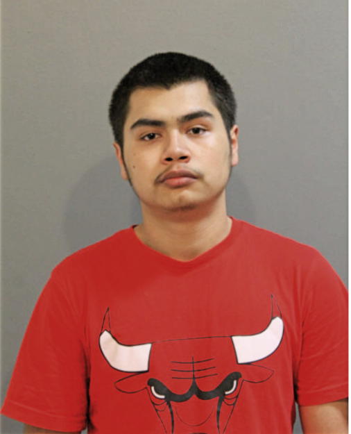 CESAR C SALDIVAR, Cook County, Illinois
