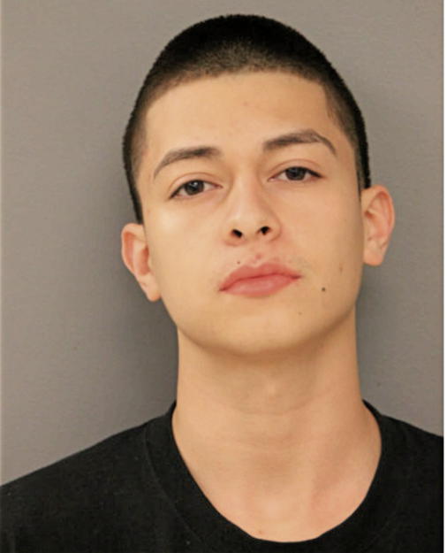 JAVIER I SILVA, Cook County, Illinois