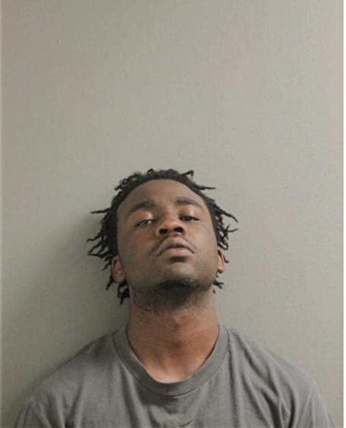 JOHN L SIMS, Cook County, Illinois